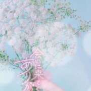 ヒメ日記 2025/06/22 22:12 投稿 上野【うえの】 丸妻 西船橋店