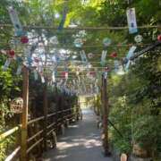 ヒメ日記 2025/07/26 07:04 投稿 上野【うえの】 丸妻 西船橋店