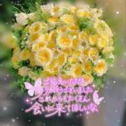 ヒメ日記 2025/08/10 19:06 投稿 上野【うえの】 丸妻 西船橋店