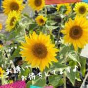 ヒメ日記 2025/08/31 09:13 投稿 上野【うえの】 丸妻 西船橋店