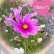 ヒメ日記 2025/10/18 07:09 投稿 上野【うえの】 丸妻 西船橋店