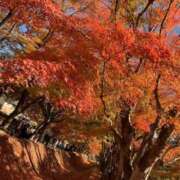 ヒメ日記 2025/11/23 08:47 投稿 上野【うえの】 丸妻 西船橋店