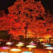 ヒメ日記 2025/11/23 21:19 投稿 上野【うえの】 丸妻 西船橋店