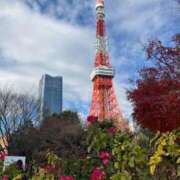 ヒメ日記 2025/12/21 09:34 投稿 上野【うえの】 丸妻 西船橋店