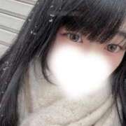 ヒメ日記 2026/02/08 09:57 投稿 柳しずく 池袋パラダイス