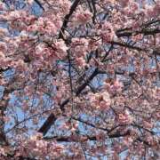 ヒメ日記 2025/03/26 13:32 投稿 むぎ 素人オナクラ美少女