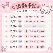 ヒメ日記 2026/10/11 21:13 投稿 遊佐 BBW五反田店