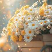 ヒメ日記 2025/10/24 04:24 投稿 あいか ROYAL FACE FUKUOKA