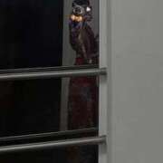 ヒメ日記 2025/11/15 20:34 投稿 あみ いざ候 別館