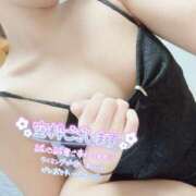 ヒメ日記 2025/03/06 12:10 投稿 マチルダ チューリップ姫路店