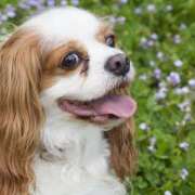 ヒメ日記 2025/04/13 18:21 投稿 ろはん クリステル