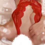 ヒメ日記 2024/12/17 22:52 投稿 ハルカ コンプレックス(京都)