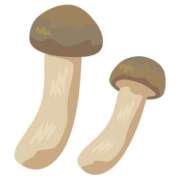 ヒメ日記 2025/06/30 13:56 投稿 ちはや ポッキリ学園 ～モテモテハーレムごっこ～