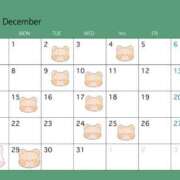 ヒメ日記 2025/11/25 14:01 投稿 ちはや ポッキリ学園 ～モテモテハーレムごっこ～