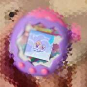 ちはや しちゅもん(  ˘³˘)♡ ポッキリ学園 ～モテモテハーレムごっこ～