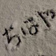 ヒメ日記 2026/02/08 22:31 投稿 ちはや ポッキリ学園 ～モテモテハーレムごっこ～