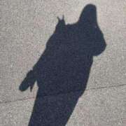 ヒメ日記 2026/03/18 07:41 投稿 ちはや ポッキリ学園 ～モテモテハーレムごっこ～