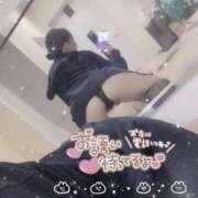 ヒメ日記 2026/03/20 15:06 投稿 ゆずは ドンファン