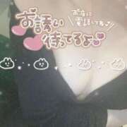 ヒメ日記 2026/04/05 14:02 投稿 ゆずは ドンファン