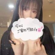 ヒメ日記 2026/04/19 11:18 投稿 ゆずは ドンファン