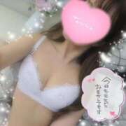 ヒメ日記 2025/03/10 09:43 投稿 モモ ルパン