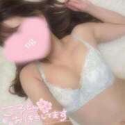 ヒメ日記 2025/04/02 09:55 投稿 モモ ルパン