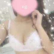 ヒメ日記 2025/06/02 13:25 投稿 モモ ルパン