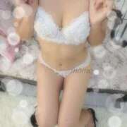 ヒメ日記 2025/06/17 14:42 投稿 モモ ルパン