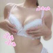 ヒメ日記 2025/06/25 09:49 投稿 モモ ルパン