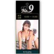 ヒメ日記 2025/07/02 15:24 投稿 モモ ルパン