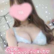 ヒメ日記 2025/07/15 15:41 投稿 モモ ルパン