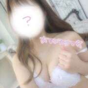 ヒメ日記 2025/07/29 08:07 投稿 モモ ルパン