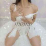 ヒメ日記 2025/10/24 15:10 投稿 モモ ルパン