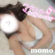 ヒメ日記 2025/10/30 09:27 投稿 モモ ルパン