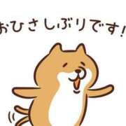 ヒメ日記 2025/11/22 23:33 投稿 モモ ルパン