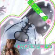 ヒメ日記 2025/10/11 04:11 投稿 鈴木 愛 こあくまな熟女たち 千葉店（KOAKUMAグループ）