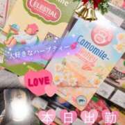 ヒメ日記 2025/12/03 14:45 投稿 鈴木 愛 こあくまな熟女たち 千葉店（KOAKUMAグループ）