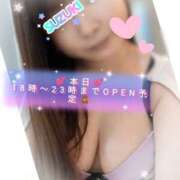 ヒメ日記 2026/06/03 16:30 投稿 鈴木 愛 こあくまな熟女たち 千葉店（KOAKUMAグループ）