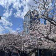 ヒメ日記 2025/04/09 01:44 投稿 らら 丸妻 横浜本店