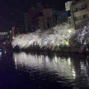 ヒメ日記 2026/04/06 01:32 投稿 らら 丸妻 横浜本店