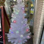 ヒメ日記 2024/12/20 09:45 投稿 倉林 品川やすらぎ