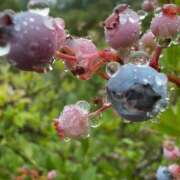 ヒメ日記 2024/12/27 14:56 投稿 倉林 品川やすらぎ