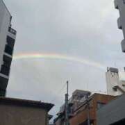 ヒメ日記 2025/07/16 08:10 投稿 倉林 品川やすらぎ