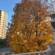 ヒメ日記 2025/12/10 09:53 投稿 倉林 品川やすらぎ