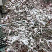 ヒメ日記 2026/02/08 14:26 投稿 かおり 沼津人妻花壇