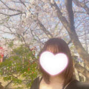 ヒメ日記 2025/04/09 17:32 投稿 ゆり プロフィール 京都店