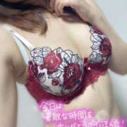 ヒメ日記 2025/09/01 23:09 投稿 ゆり プロフィール 京都店