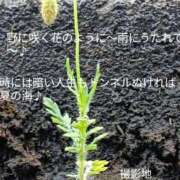 ヒメ日記 2025/04/03 22:42 投稿 サブレのノドカ C級グル女　鶯谷店