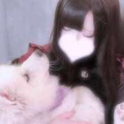 ヒメ日記 2025/03/01 20:28 投稿 霧島とうか 聖リッチ女学園