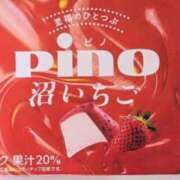 ヒメ日記 2025/02/04 05:30 投稿 きよか ご近所物語